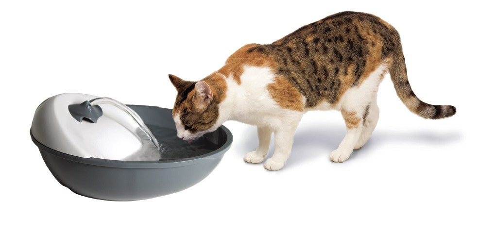 Camon Fontanella Automatica 1,7 L per Gatti e Cani Piccoli Camon Fontanella Automatica 1,7 L per Gatti e Cani Piccoli